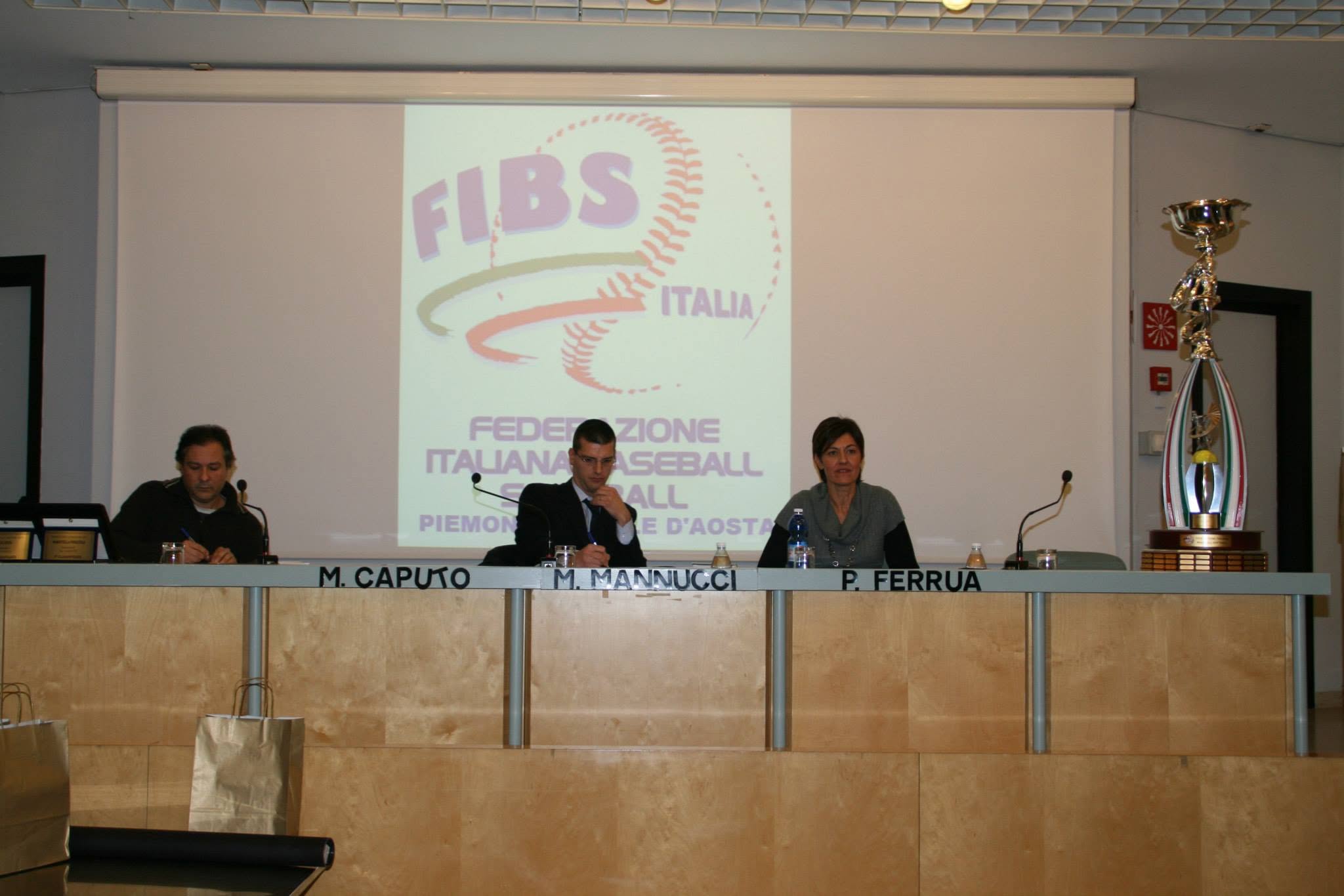 FIBS Piemonte governance meeting